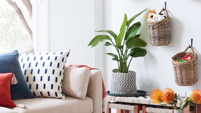 white living room with sofa and baskets hanging on the wall