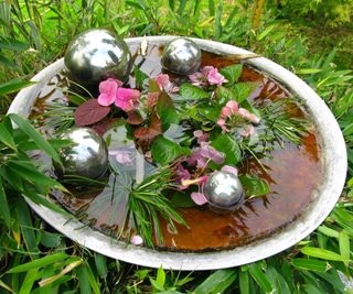 Old satellite dish being used as decorative bird bath feature in garden