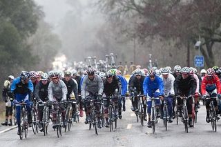 The bunch rolls into Santa Rosa. Note, far left, the OUCH riders helping Landis with a flat.
