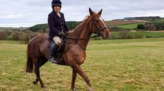 Doreen-Calder_378971022_653101772.jpeg