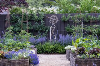 a edible garden with raised beds