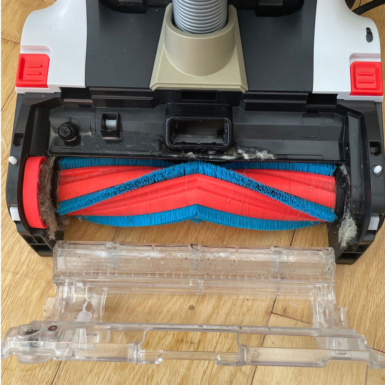 Close up of the Shark CarpetForce Upright Carpet Cleaner brush roller
