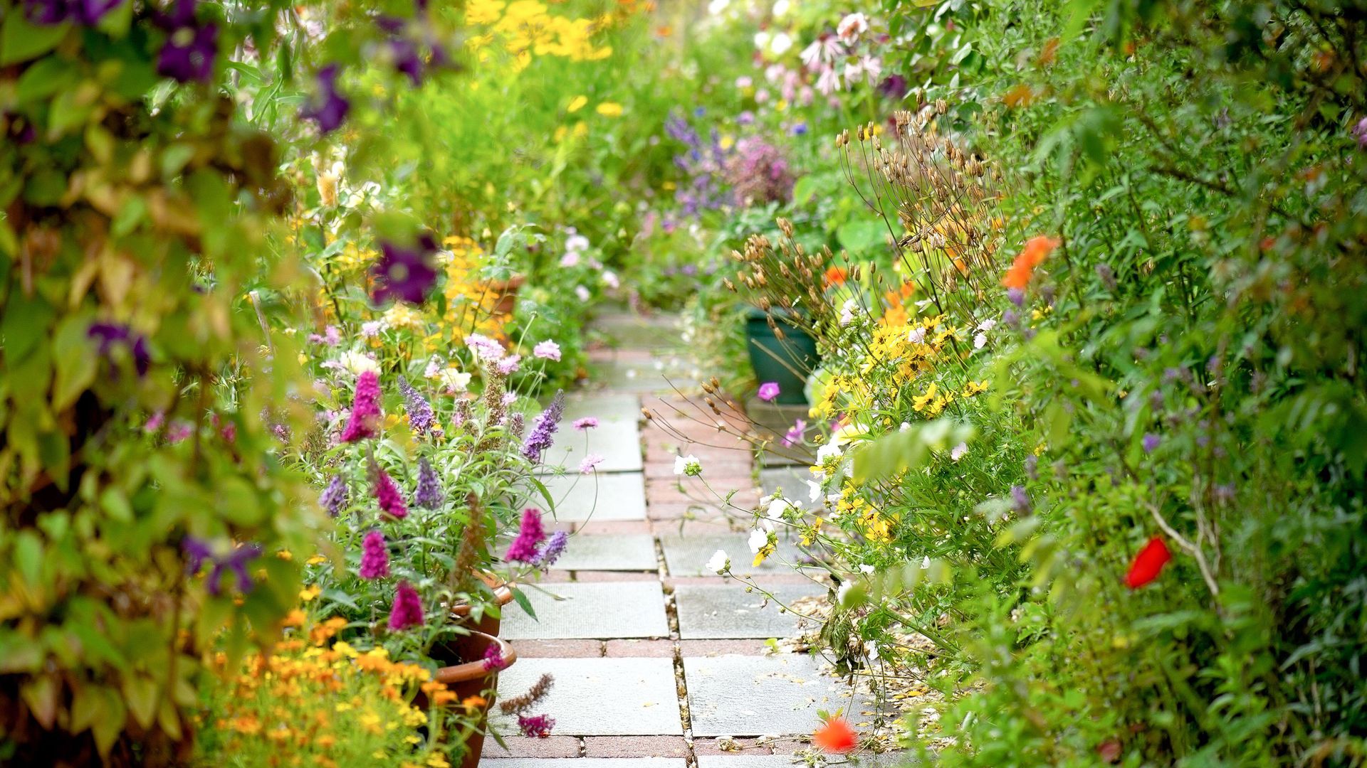 Garden border planting ideas 6 stunning layouts to try Gardeningetc