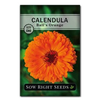 Sow Right Seeds - Ball’s Orange Calendula Seeds for Planting - Non-Gmo Heirloom Packet With Instructions to Plant a Home Garden - Medicinal Orange Blooms That Pollinators Love - Grow Herbal Tea (1)