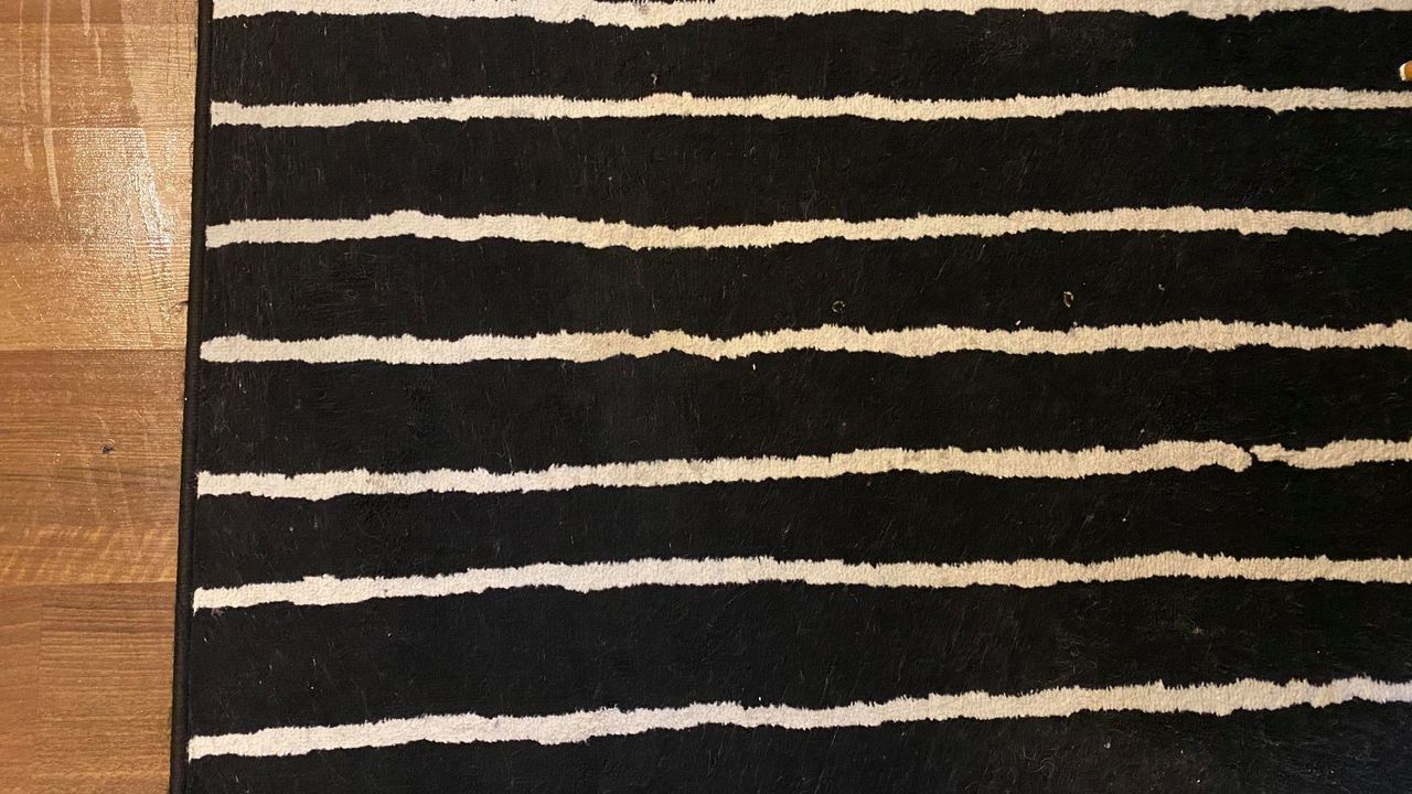 Annie's striped rug, testing the BISSELL multi-surface cleaner, after