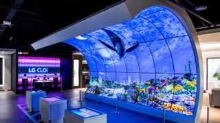A virtual aquarium on LG OLED displays.