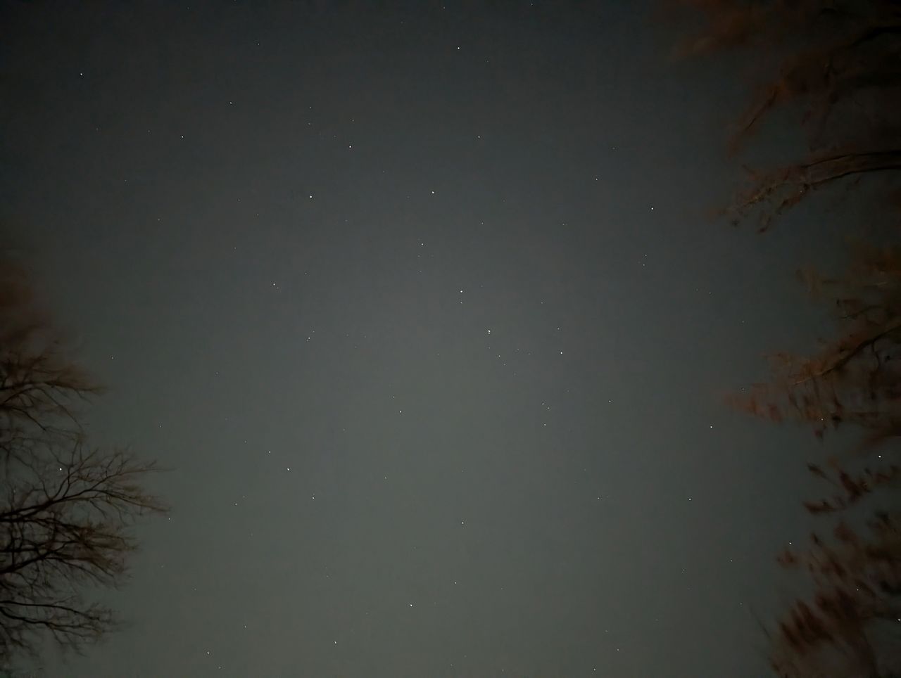 Google Pixel 8 Pro Low Light Sample.