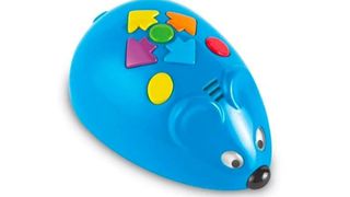 Learning Support Robot Mouse