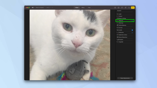 How to edit photos on a Mac for free in macOS Photos