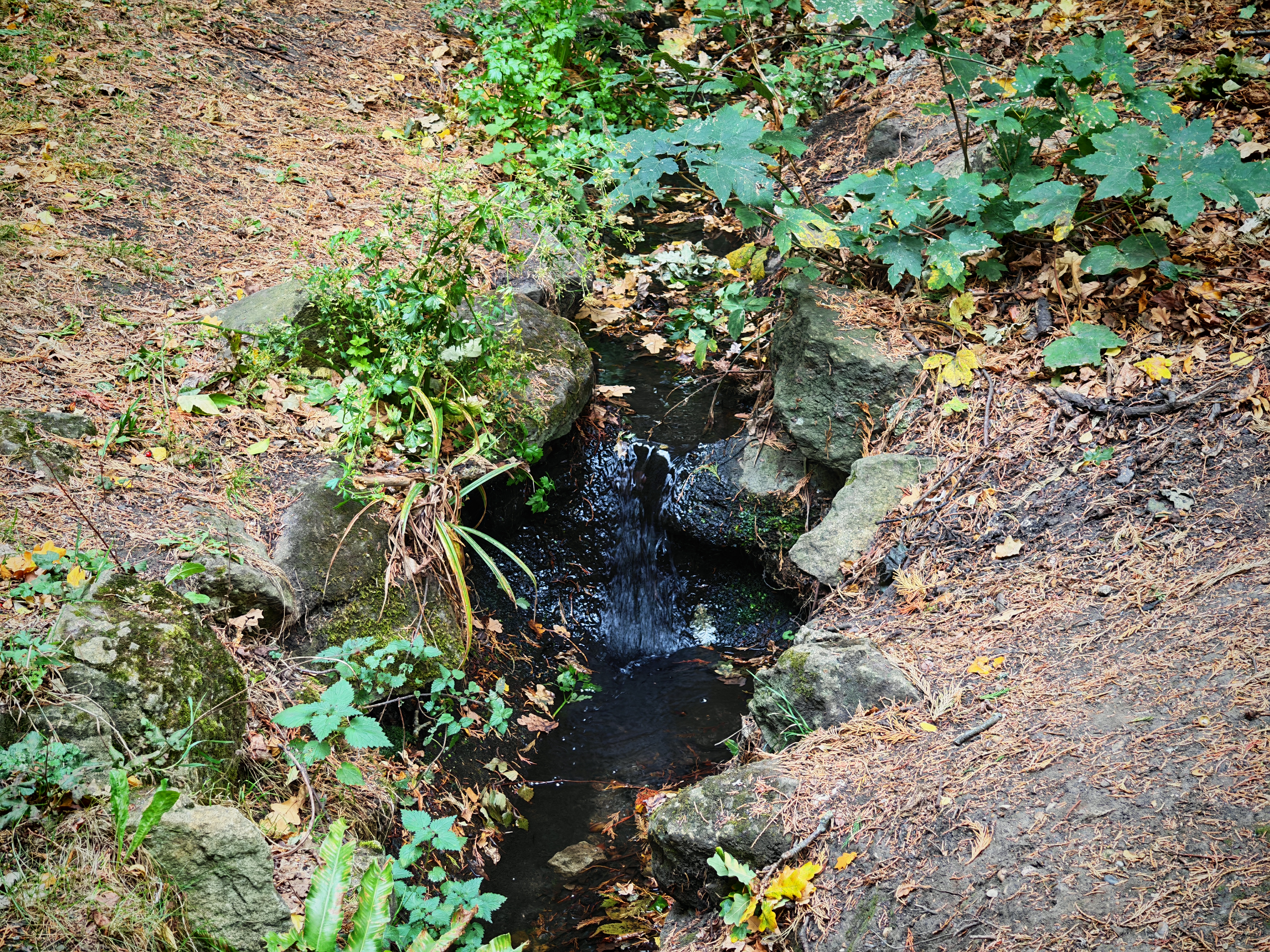 A stream in a natural setting