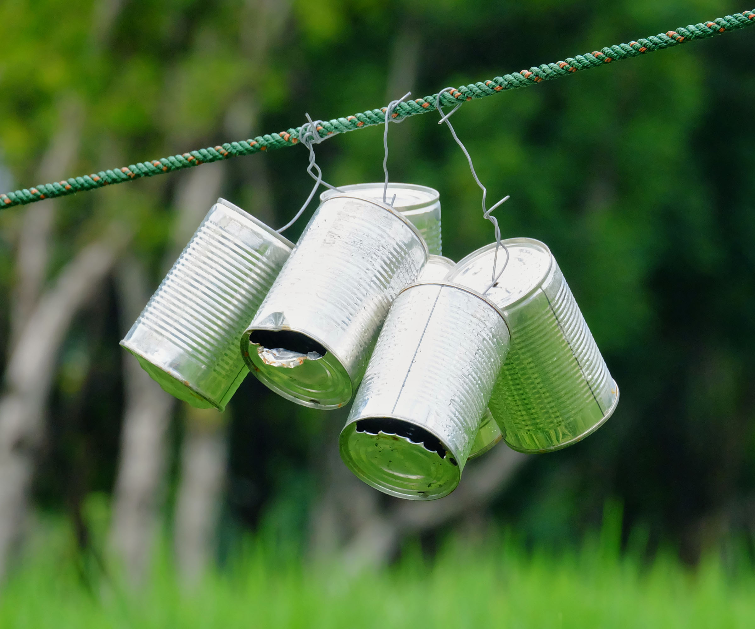 Tin cans hung in garden to scare away birds