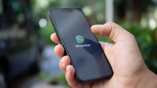 WhatsApp logo on iPhone 14 screen