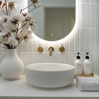 bathroom white wall with white wash basin and large mirror on wall with flower pot