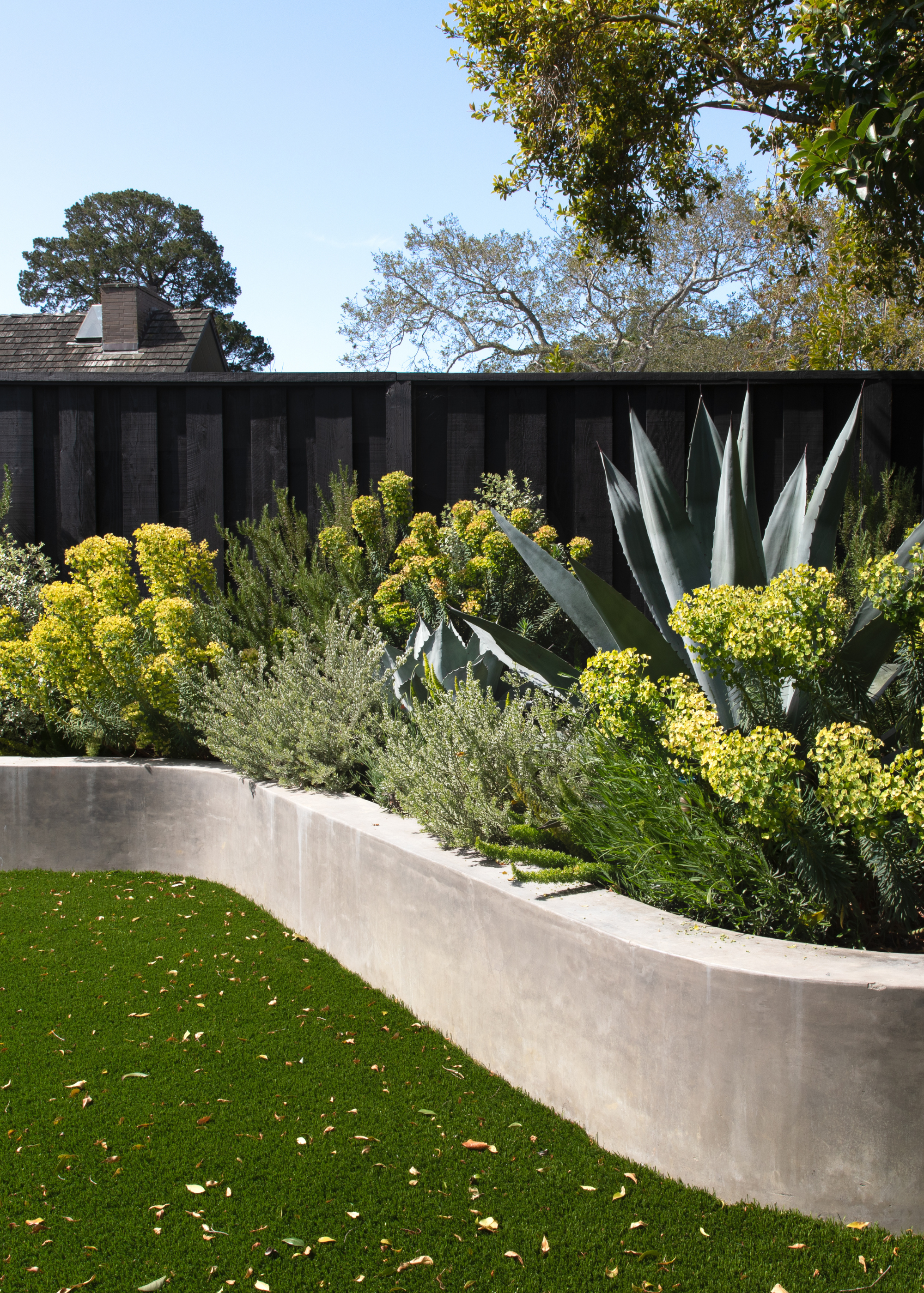 A garden with curved landscaping and a black fence