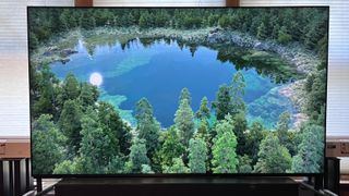 Sony Bravia 9 showing image of trees and water