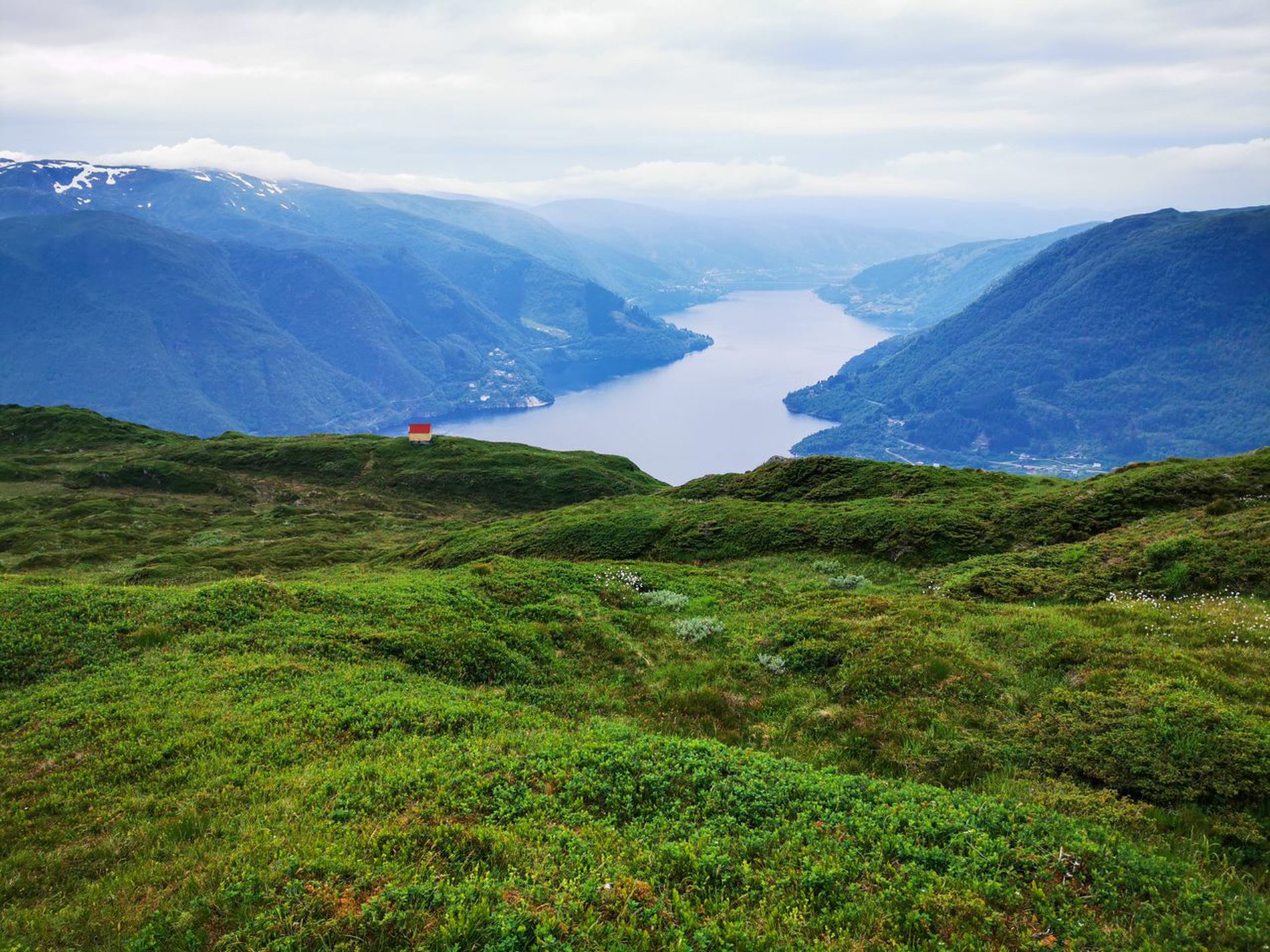 GuruShots - March 2026