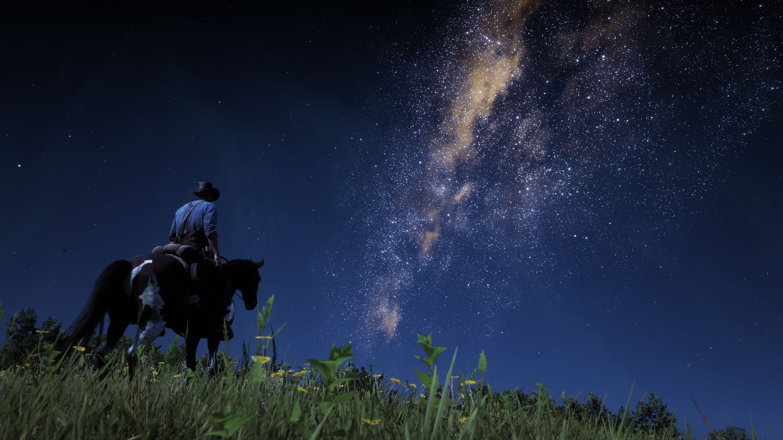 Red Dead Redemption 2-