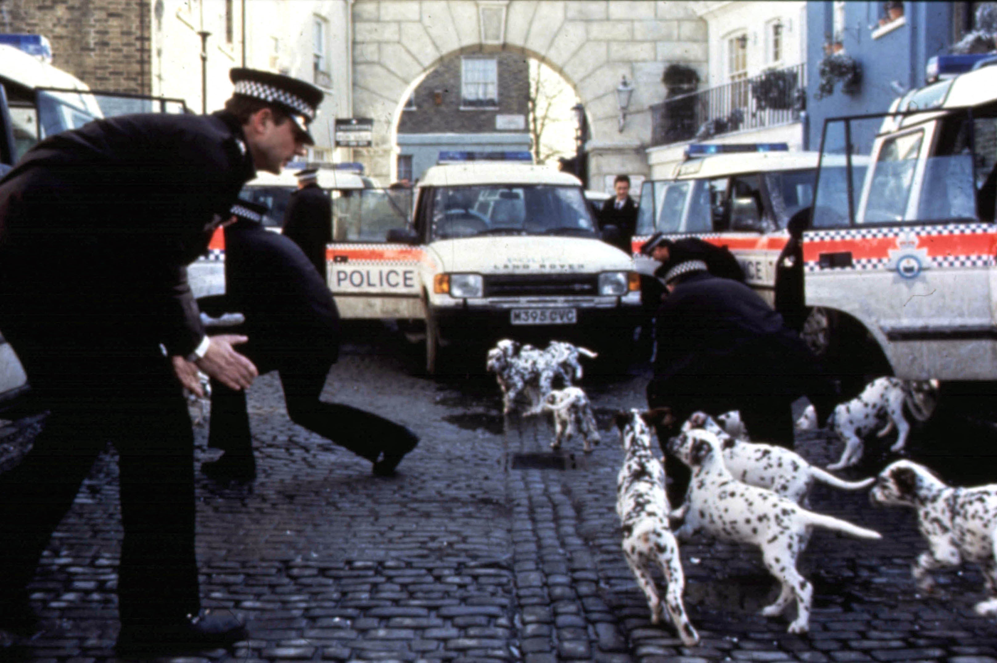 Police officers in a cobbled London street crouch and reach out as a large group of Dalmatian puppies runs between parked police vans.