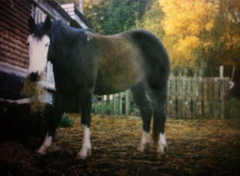 Bygone times: Felix as a three-year-old