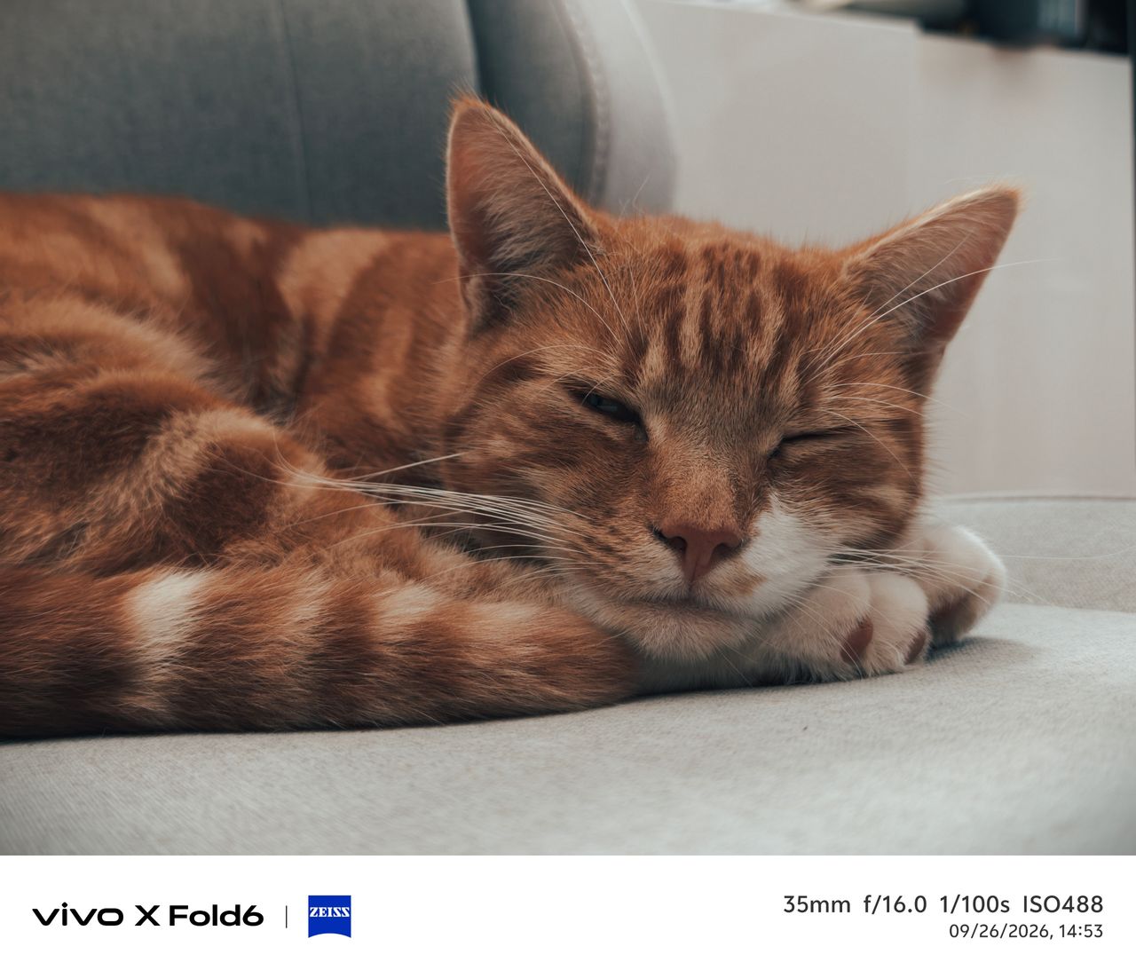 Sample photo taken on the Vivo X Fold 6 telephoto