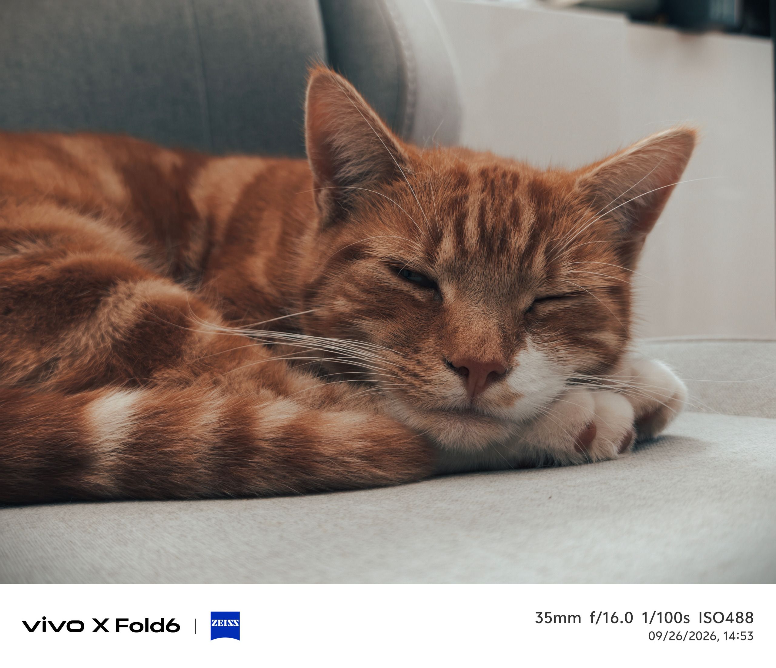 Sample photo taken on the Vivo X Fold 6 telephoto