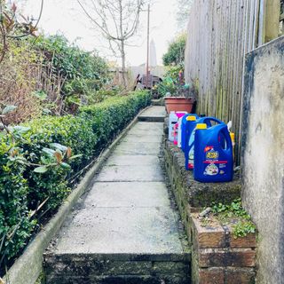 A garden in South Wales with a narrow paved path and patio cleaners sat on a wall