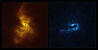 (Left) V960 Mon appears as a golden cloud with a bird-like shape in images from the VLT (Right) the blue glow of gas seen by ALMA
