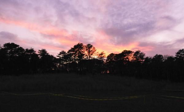 Sunset at the course in Southampton