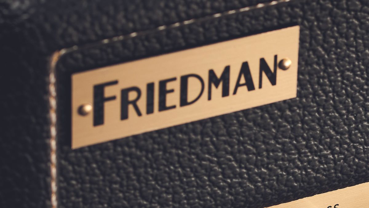 Friedman guitar amp panel