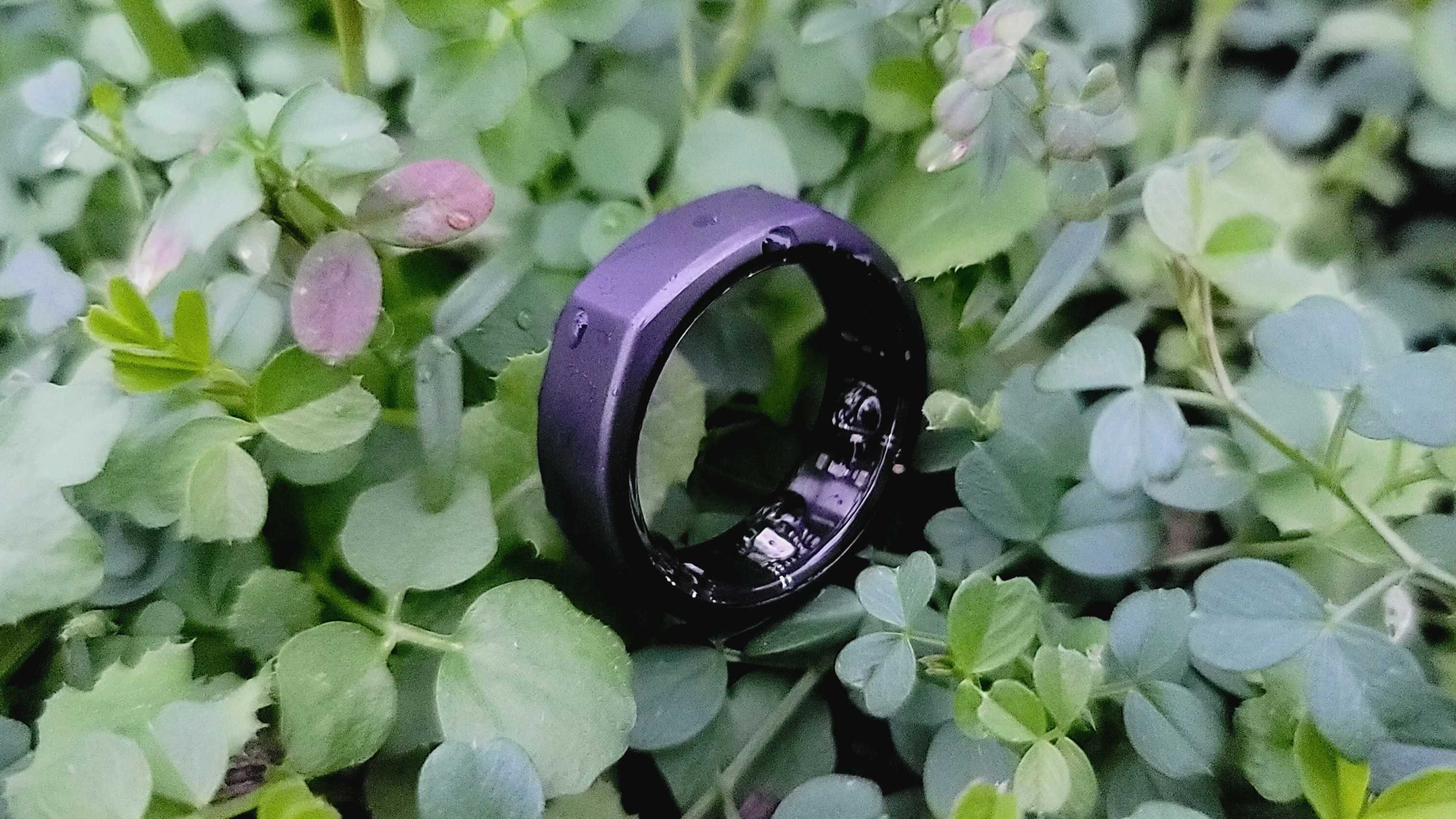 Oura Ring Gen 3