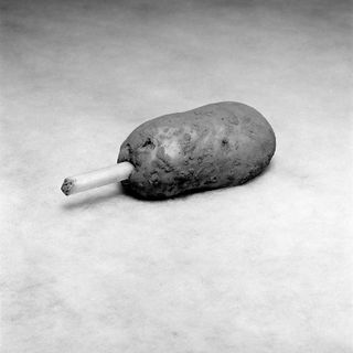 Test Potato, McCain, 2017, by Brian Griffin