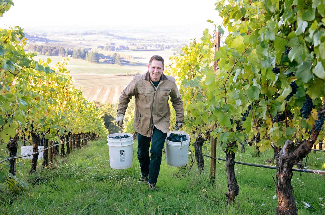Images of winemaker Erik Kramer of Willakenzie during harvest.