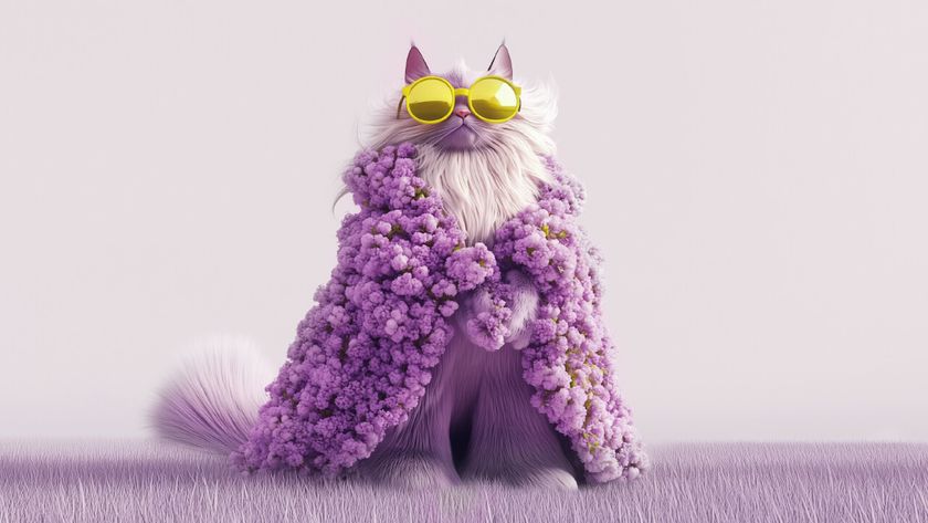 Picture of a cat wearing yellow sunglasses and a purple cape of some sort