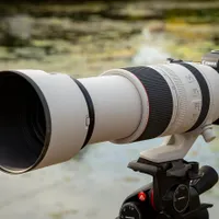 Canon RF 100-500mm F4.5-7.1L IS USM