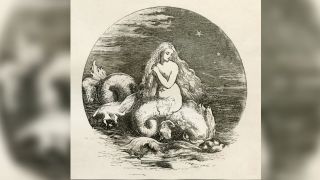 An illustration of the mermaid Nix
