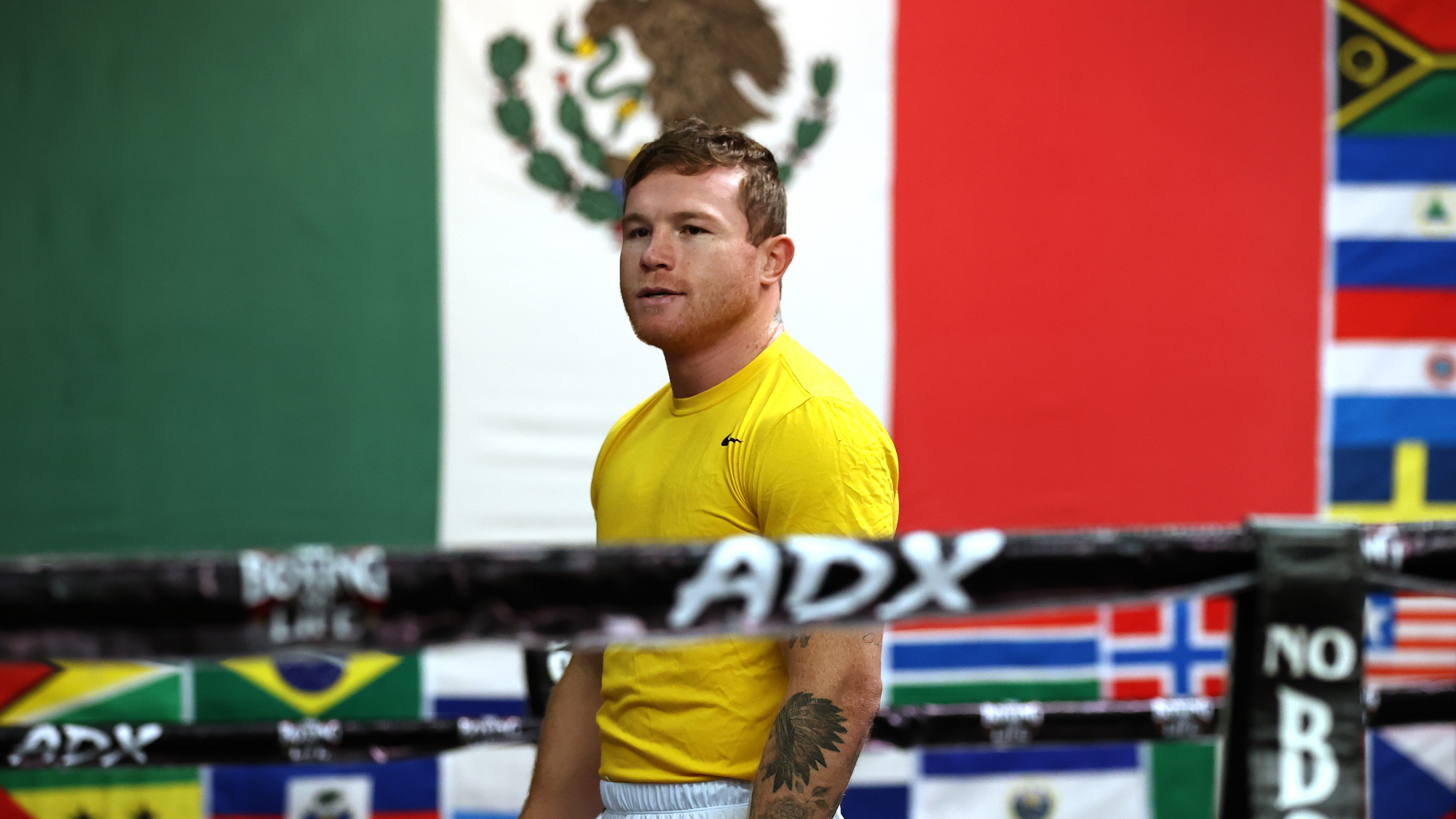 regarder Canelo Alvarez vs Billy Joe Saunders en streaming