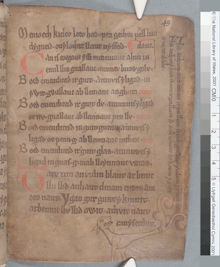 A page (49r) of &quot;The Black Book of Carmarthen&quot; showing the stylized drawing of a dog and text in the margins.