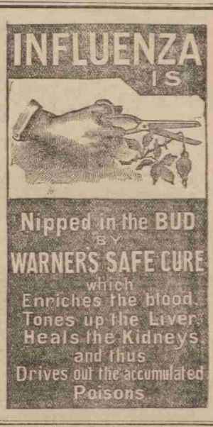 Warner's safe cure ad