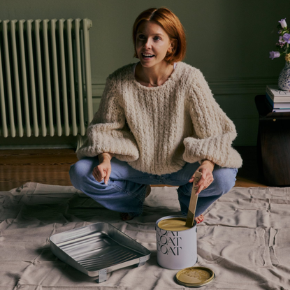 Stacey dooley mixing big hoops paint shade