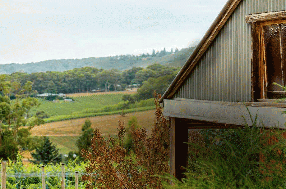 Adelaide Hills Pinot Noir - Ashton Hills