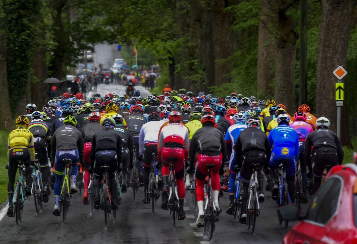 The rear of the peloton