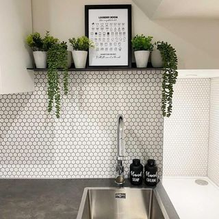 hexagonal designed wall grey counter wash basin wall shelf with plants pot