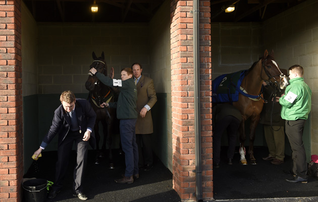 Final checks: Ben saddling up Willoughby Court in the pre-parade paddock. To the right Sizing Tennessee is also being prepared by Colin Tizzard&rsquo;s team