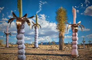 Haas Mojave Palm candlesticks