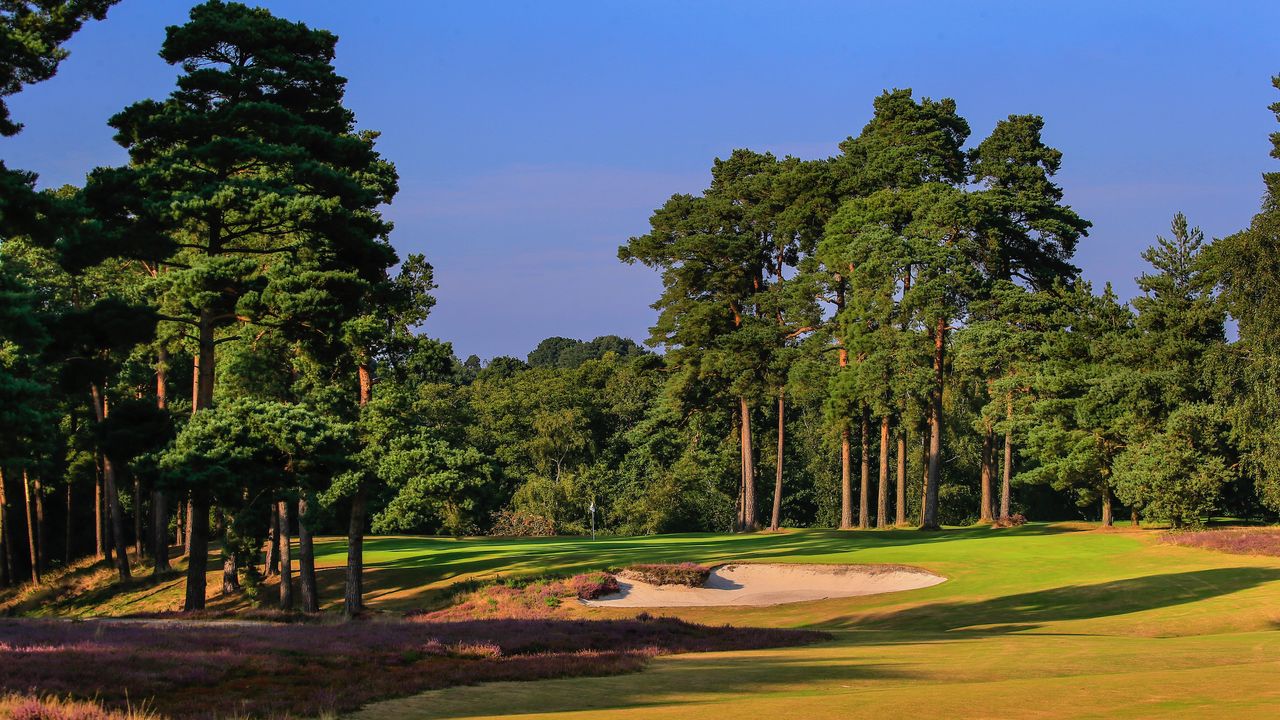 West Sussex Golf Club - 4th hole