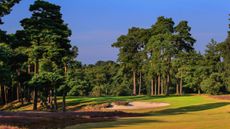 West Sussex Golf Club - 4th hole