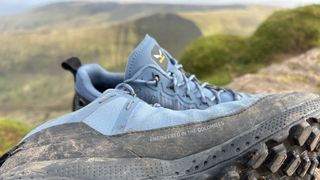 Salewa Pedroc Powertex Shoe: engineered