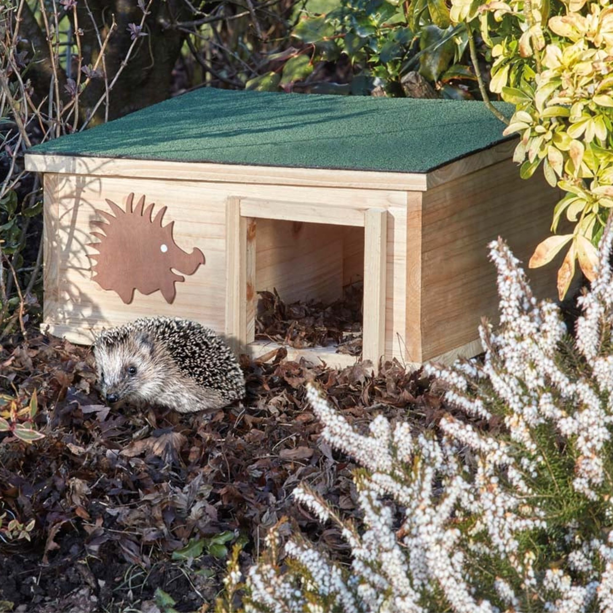 Hedgehog house Thompson &amp;amp; Morgan