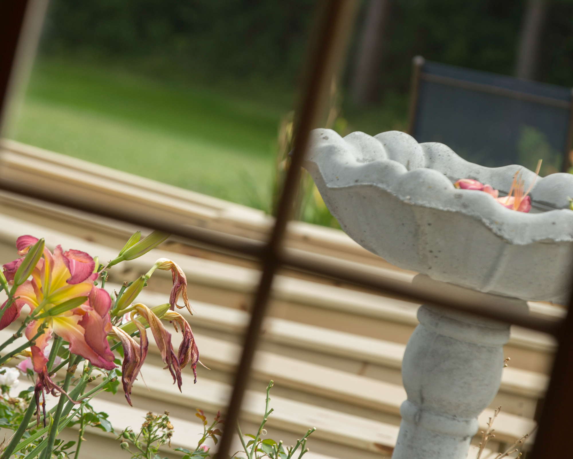 Bird bath positioned right outside window