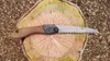 Silky Pocketboy Outback Edition Folding Saw